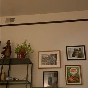 Meet your Posher, Rae